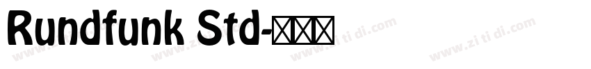 Rundfunk Std字体转换